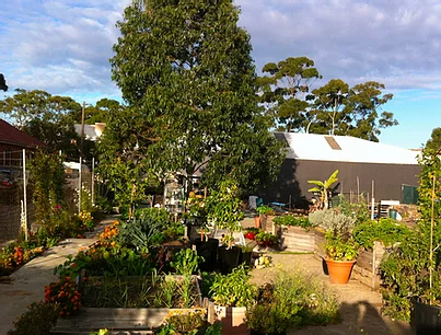 Community Garden