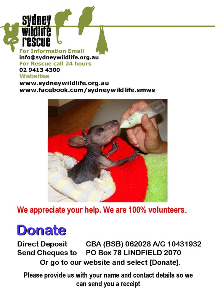Help Sydney Wildlife